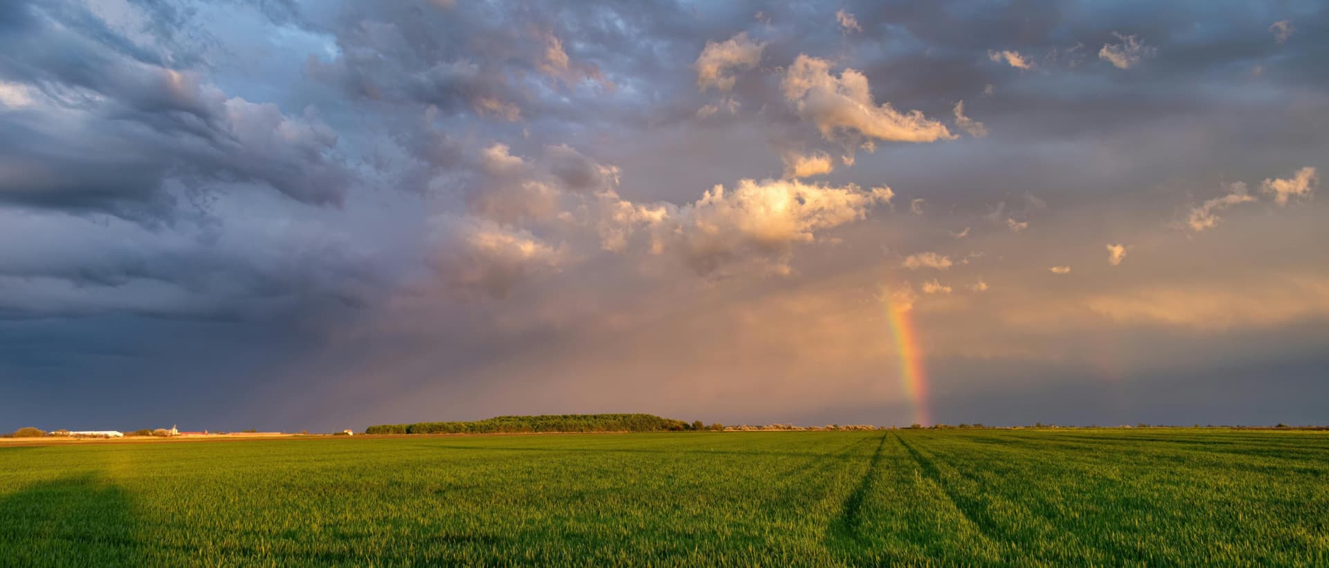 A vibrant rainbow arcs across the sky above a lush green field, creating a picturesque natural scene.