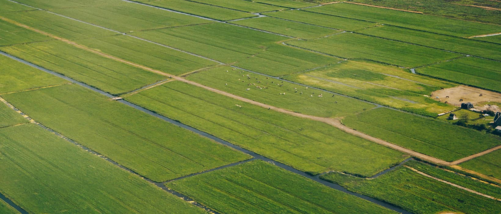 Aerial view showcasing a lush green grass field, highlighting the vibrant colors and natural patterns of the landscape.