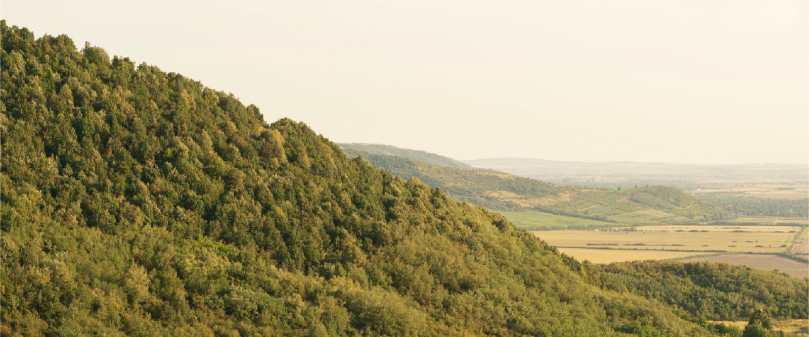 Landscape with a tree-covered hill on the left and flat fields extending into the distance under a clear sky.