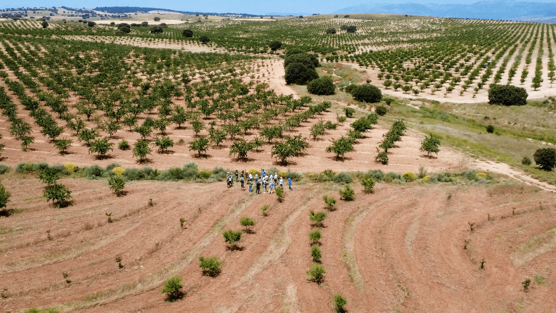 Farmers In The Field